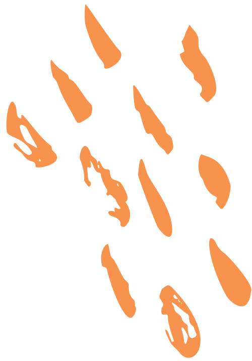 orange-effect