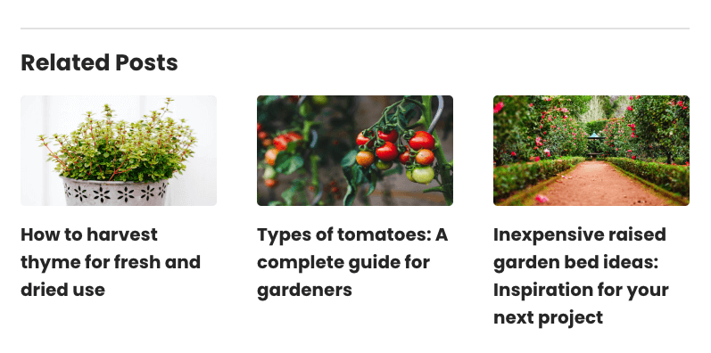 Related Posts Widget Related Posts Widget