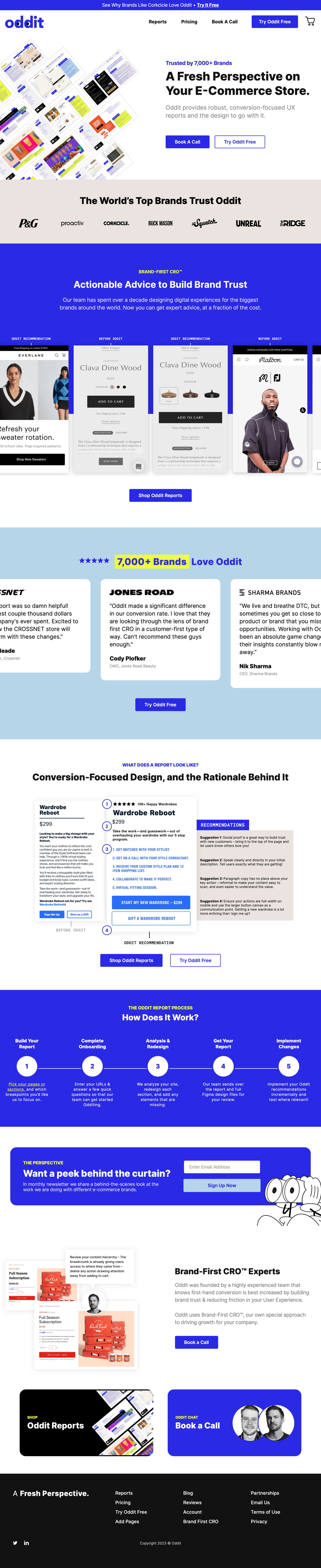 Oddit Agency Landing Page