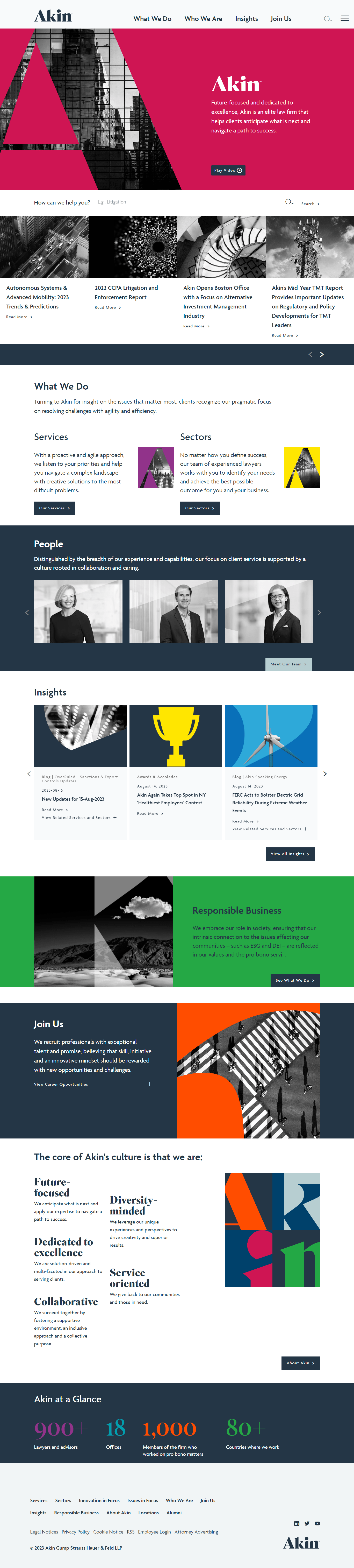 Akin Lawyer Landing Page